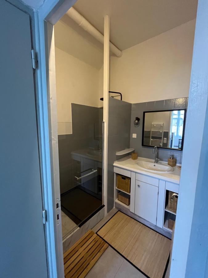 Appartement 6 Personnes - Au Coeur Du Centre Ville パライユ・ル・モニアル エクステリア 写真